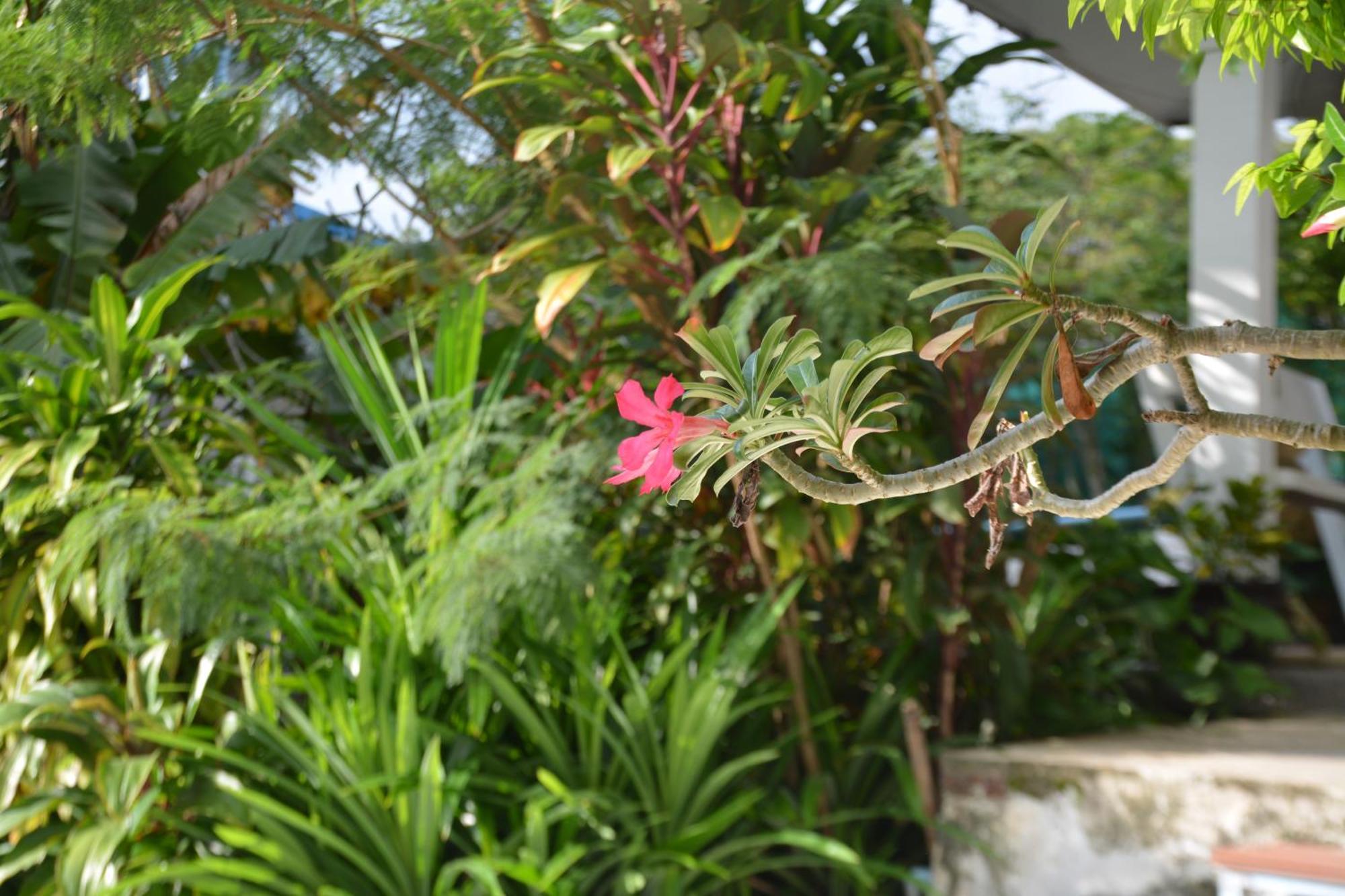 Baan Suan Villa 1 Patong Exterior photo
